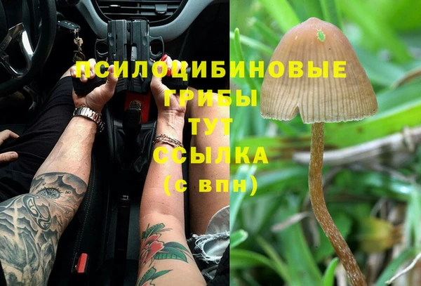 а пвп мука Елизово