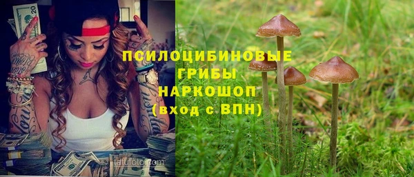 а пвп мука Елизово