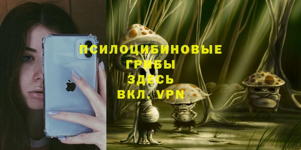 а пвп мука Елизово