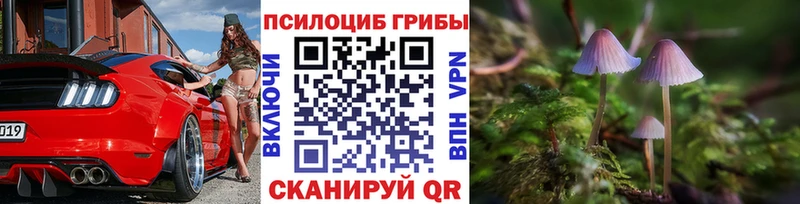Купить где  Биробиджан  Галлюциногенные грибы GOLDEN TEACHER 